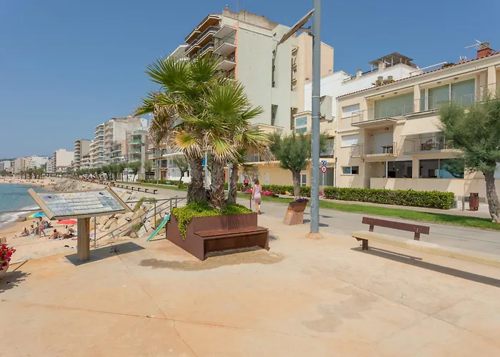 Flateli Sant Antoni 7